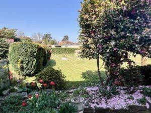 Photo 1- click for photo gallery